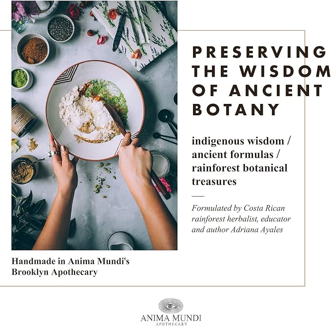 Anima Mundi Apothecary Suma Brazilian Ginseng Root Powder - Superfood Energy Support - Energizing Herbal Supplement Powder - Add to Smoothies, Tea, Coffee & More (4oz / 113g)