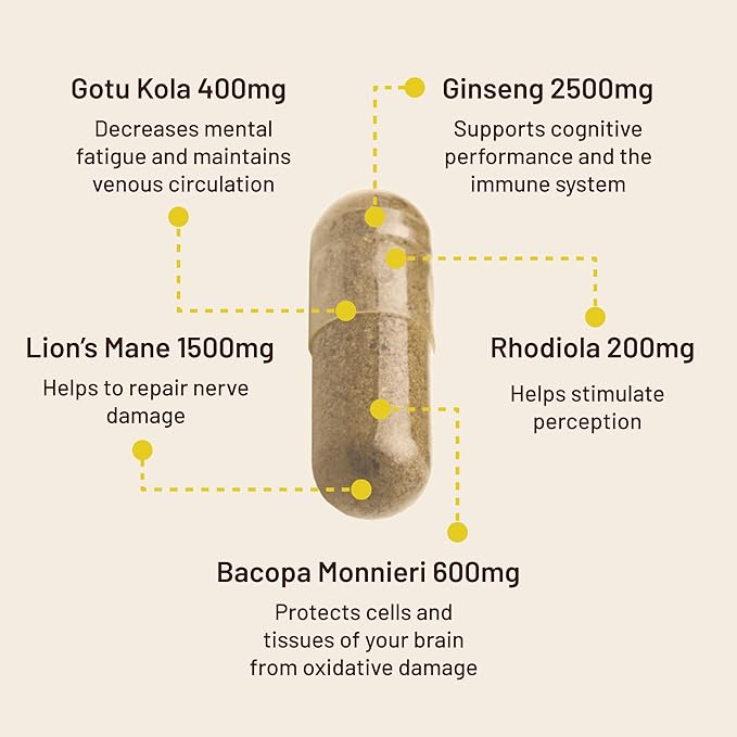 Vegan Vitality Brain & Body Balance Bundle: 120 Lions Mane Mushroom Nootropic Brain Support Supplement and 60 Vegan Vitamin D3 + K2 4000IU (100mcg)