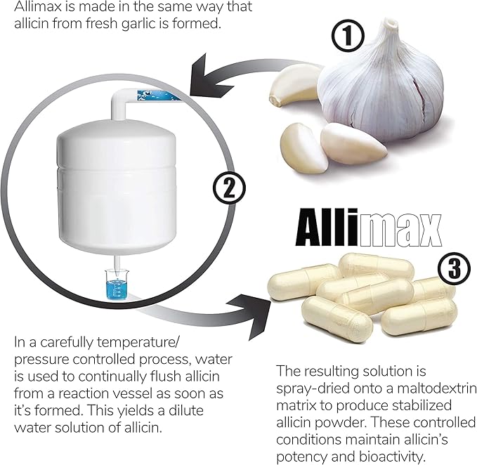 Allimax 180mg 180 Capsules. Supports Your Body’s Immune Function Through Natural Allicin, a Potent Organosulphur Compound Extracted from Clean and Sustainable Spanish Grown Garlic.