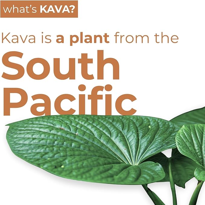 LEILO | Kava Powered Moscow Mule Mocktail Drink | 12-Pack – Sugar-Free & Non-ALC Functional Relaxation Support | 12 fl oz Cans (Pack of 12)