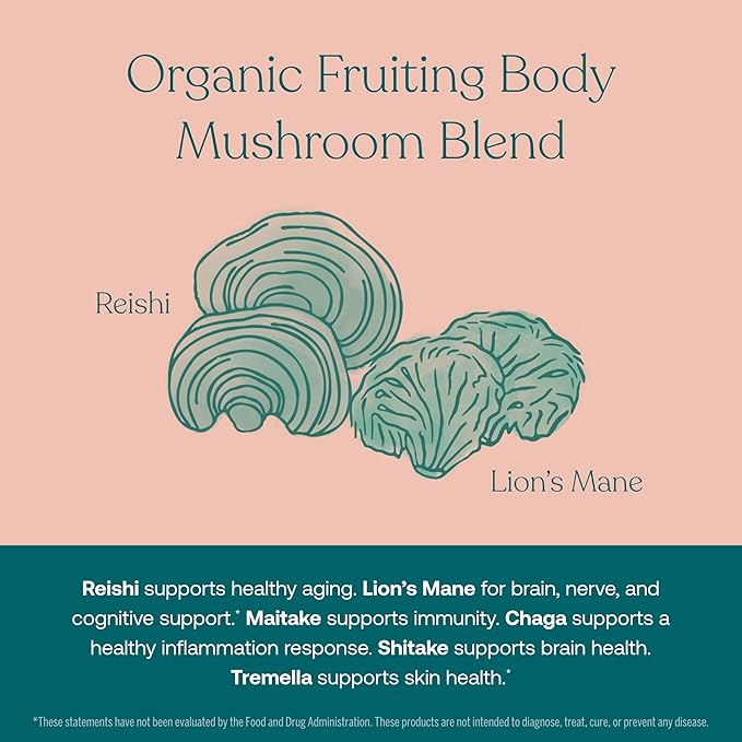 True Grace One Daily Women’s Multivitamin 40+ Fermented Minerals, Organic Adaptogens & Mushrooms Energy, Immune, Bone Support - Non-GMO - Iron, Gluten & Soy Free - 90 Vegan Tablets