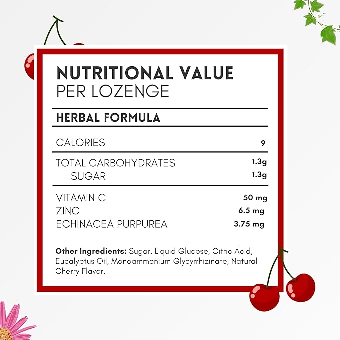 HERBION Naturals Zinc, Echinacea & Vitamin C Lozenges with Cherry Flavor, 25 CT - Dietary Supplement for Adults & Children 5+ - Promotes Wellness for The Whole Family - (Pack of 5) (125 Lozenges)