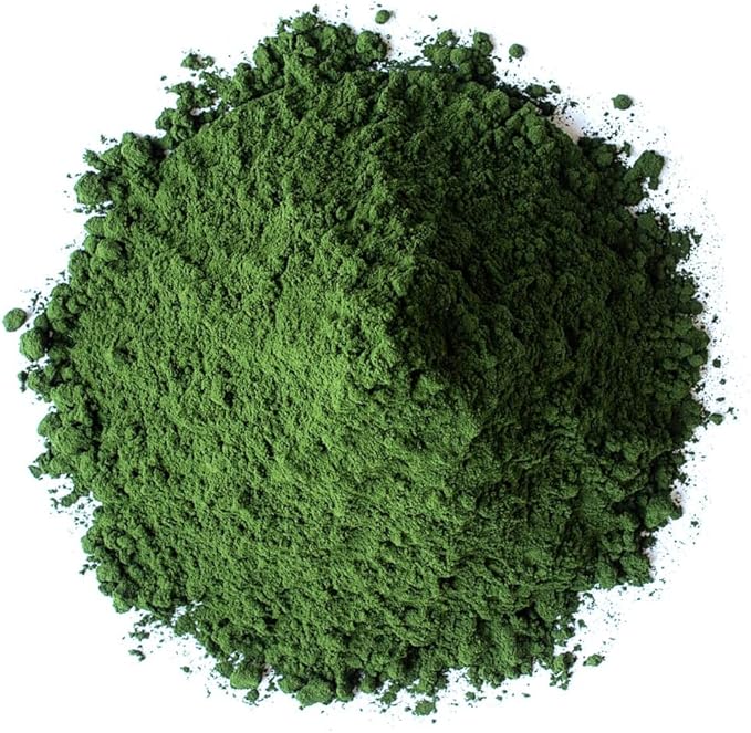 Food to Live Organic Chlorella Powder, 4 Pounds — Non-GMO, Kosher, Raw Green Algae, Vegan Superfood, Bulk, Pure Vegan Green Protein, Rich in Vitamins and Minerals, Great for Drinks, Broken Cell Wall