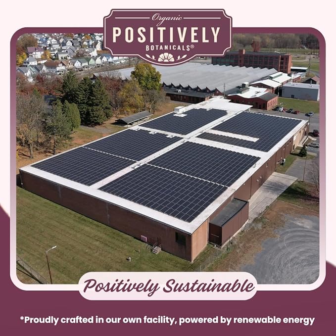 Organic Positively Botanicals Company, Senna Leaf Herbal Tea Bags, 20 Count