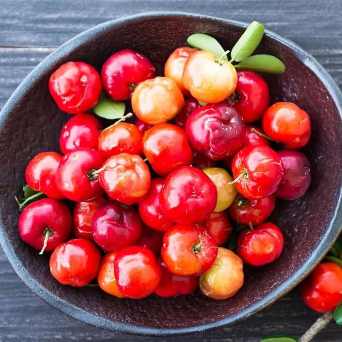 Earthborn Elements Acerola Cherry 200 Capsules, Pure & Undiluted, No Additives