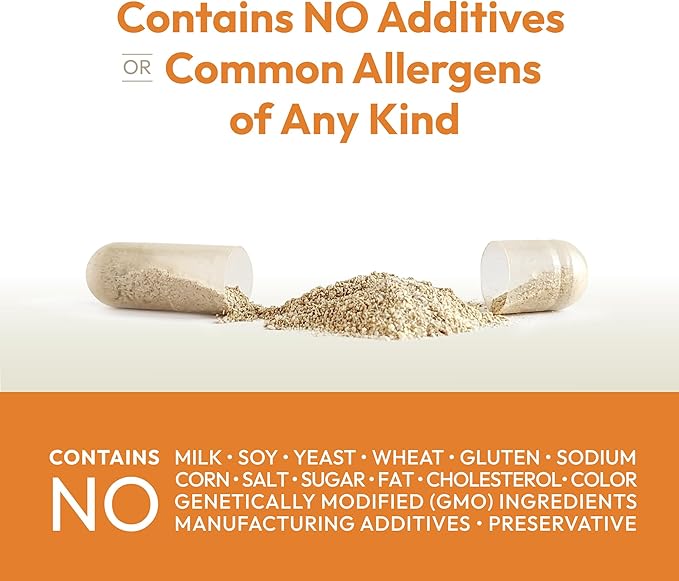 ANDREW LESSMAN Vitamin C 500 Complex 60 Capsules - Non-Acidic Vitamin C Plus Citrus Bioflavonoids for Immune System and Anti-Oxidant Support, No Stomach Upset, Small Easy to Swallow Capsules