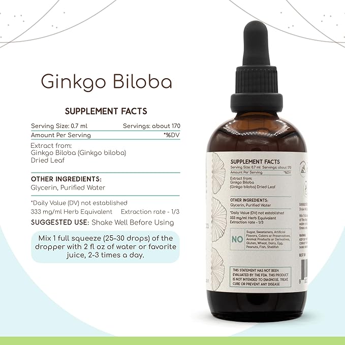 Ginkgo Biloba B120 (2pcs) Alcohol-Free Herbal Extract Tincture, Concentrated Liquid Drops Natural Ginkgo Biloba (Ginkgo Biloba) Dried Leaf (2x4 fl oz)