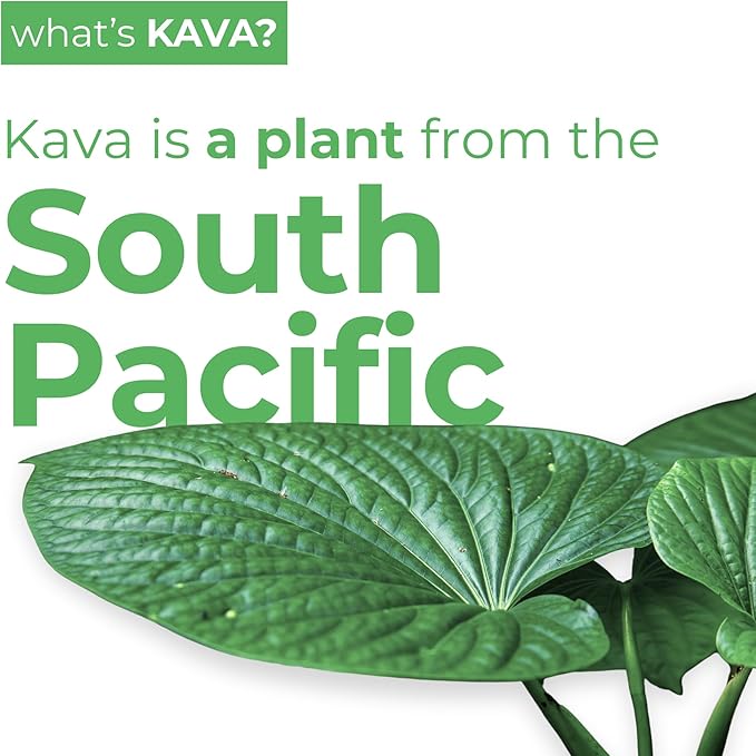 LEILO | Kava Powered Sparkling Relaxation Drink | Classic Variety-Pack – Includes: Raspberry Hibiscus, Tangerine Mango, BlackBerry Orange | 12 fl oz Cans (Pack of 12)