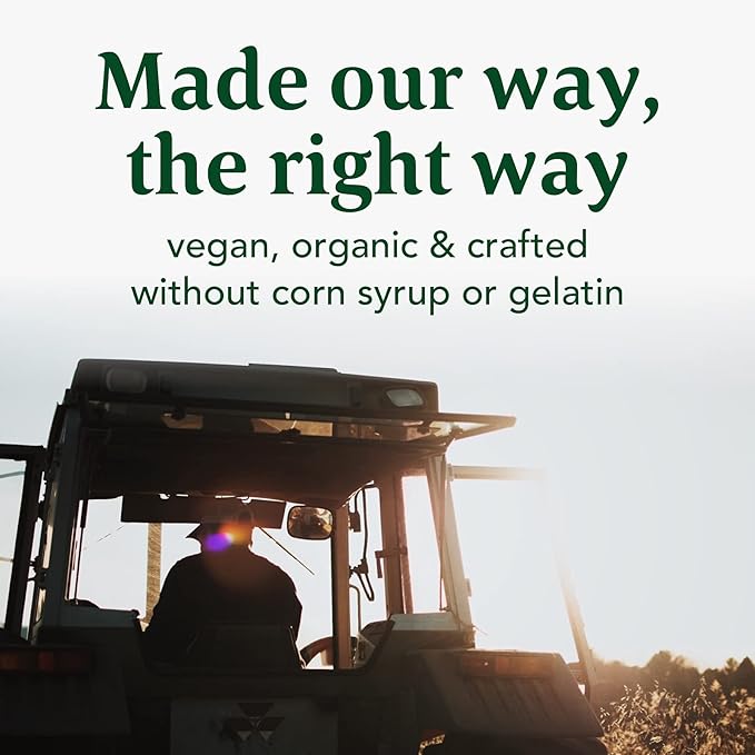 MegaFood Elderberry Immune Support Supplement - Vegan Elderberry Gummies for Adults - Made with Zinc and Real Food - Pectin-Based, Gluten-Free, USDA Organic - 54 Gummies, 27 Servings