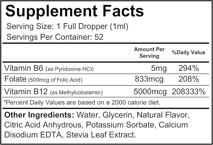 Wellgenix B12 Max Liquid - Vitamin B6, B12 & Folate-High Absorption - Cardiovascular Health, Mental Clarity, Energy Boost & Weight Loss - 1.75oz, 2 Pack