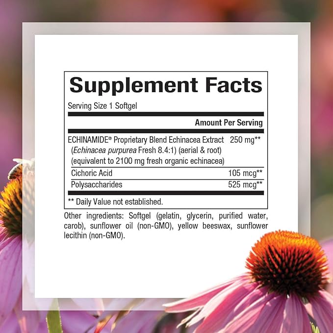 Natural Factors, Echinamide, Echinacea Supplement for Immune and Wellness Support, 60 Softgels