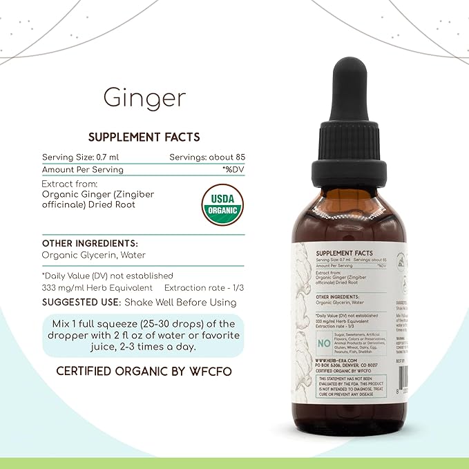 Ginger B60 USDA Organic Tincture | Alcohol-Free Extract, High-Potency Herbal Drops | Certified Organic Ginger (Zingiber officinale) Dried Root (2 oz)