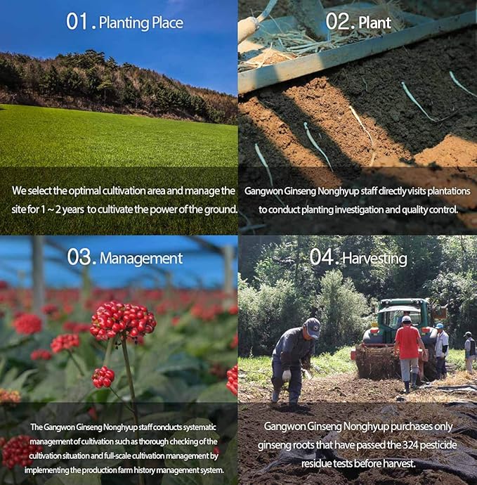 Gangwoninsam] Korean Red Ginseng Extract Gold 120g / 4.23 fl. oz – New Package Design, Contains 100% Pure Korean 6-Year-Old Red Ginseng Root Extract