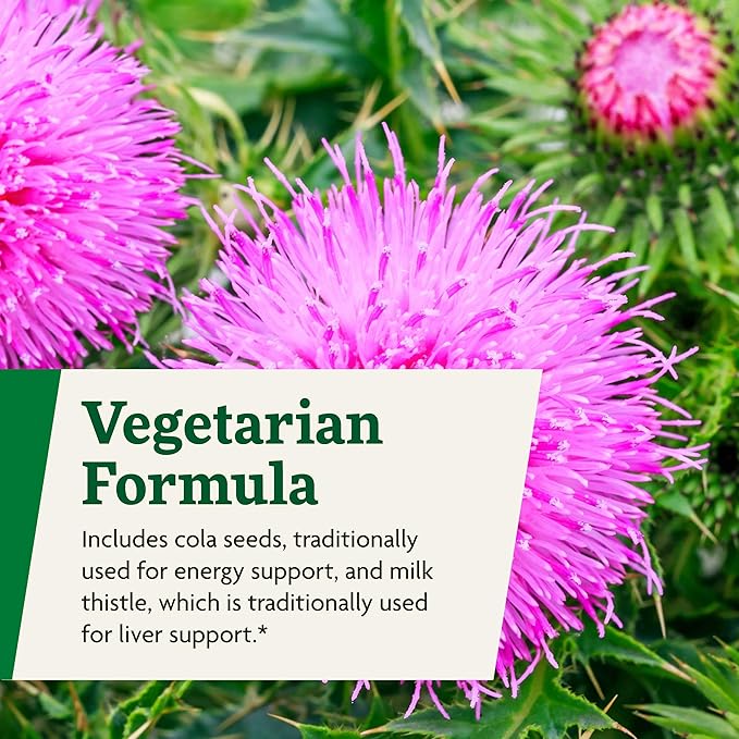 Floradix Epresat Adult Multivitamin - Daily Liquid Multivitamin with Vitamin A, Milk Thistle & More for Wellness - Energy Support & Liver Health Support* - Vegetarian, Non-GMO - 16.9 fl oz