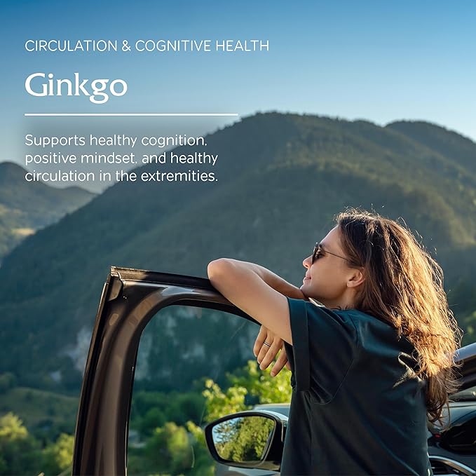 Vitanica Ginkgo - Brain Health Supplement - Supports Blood Flow & Circulation in Women & Men - Herbal Supplement That Uses Ginkgo Extract & Leaf - Lady - 90 Capsules