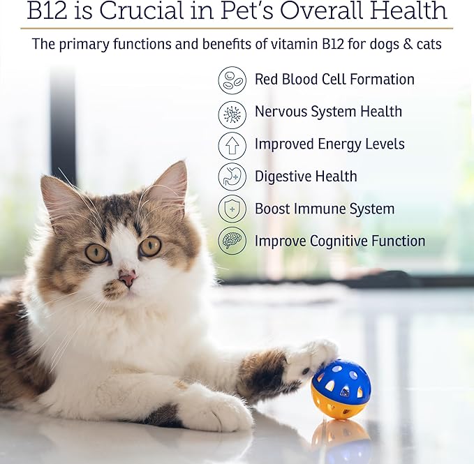 RX Vitamins B12 for Dogs and Cats - Dog Digestive Support for Improved Metabolic Process - Pure B12 for Cats to Support Nervous System - Ideal for Your Dog Vitamins and Cat Supplies - 4oz