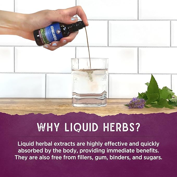 WishGarden Herbs Genius Juice - Liquid Herbal Nootropic Brain Booster Supplement for Focus, Clarity, Concentration & Energy with Ginkgo Biloba & Gotu Kola, Cognitive Support, No Caffeine, 4oz