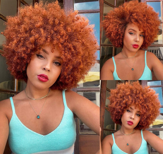 ANNISOUL Afro Wigs for Black Women Short Curly Afro Kinky Wig 70s Bouncy Huge Fluffy Puff Wigs Premium Synthetic for Cosplay and Daily