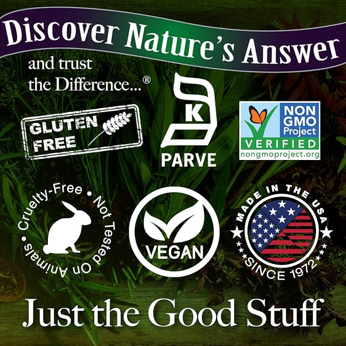 Nature's Answer Sambucus Dietary Supplement, Original for Daily Immune and Antioxidant Support | Made in The USA | Alcohol-Free, Gluten-Free & Vegan 4oz (Pack 1)