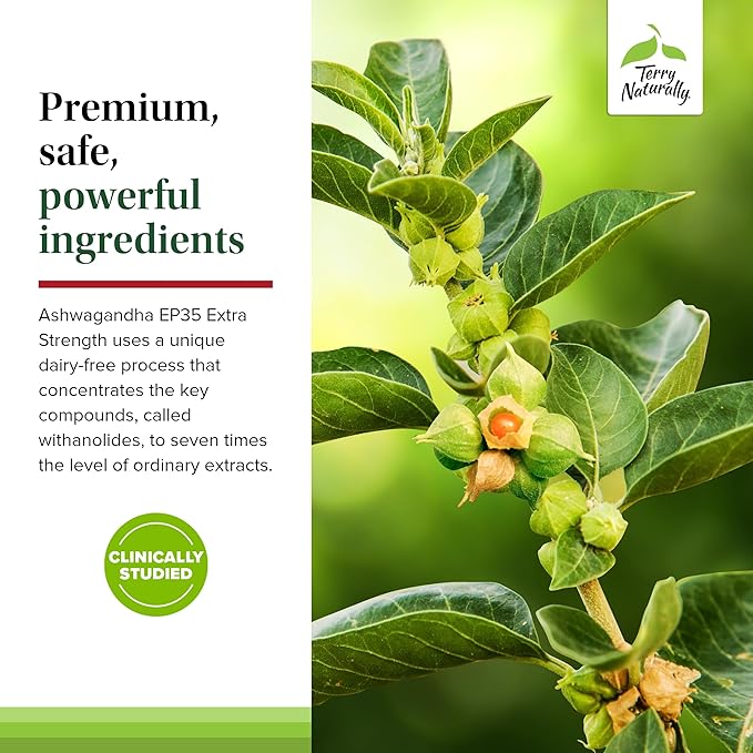 Terry Naturally Ashwagandha EP35 Extra Strength - Herbal Supplement for Sleep Support - Aid Healthy Stress Response - Endurance & Energy Support - 60 Capsules (60 Servings)