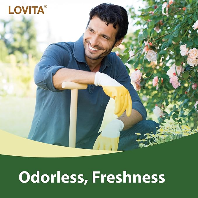 Lovita Odorless Garlic Extract | 50 mg, 100:1 High Concentrate | 1.25% Allicin | Gluten-Free | Support Immune & Cardiovascular Health | 60 Vegan Capsules (Pack of 3)