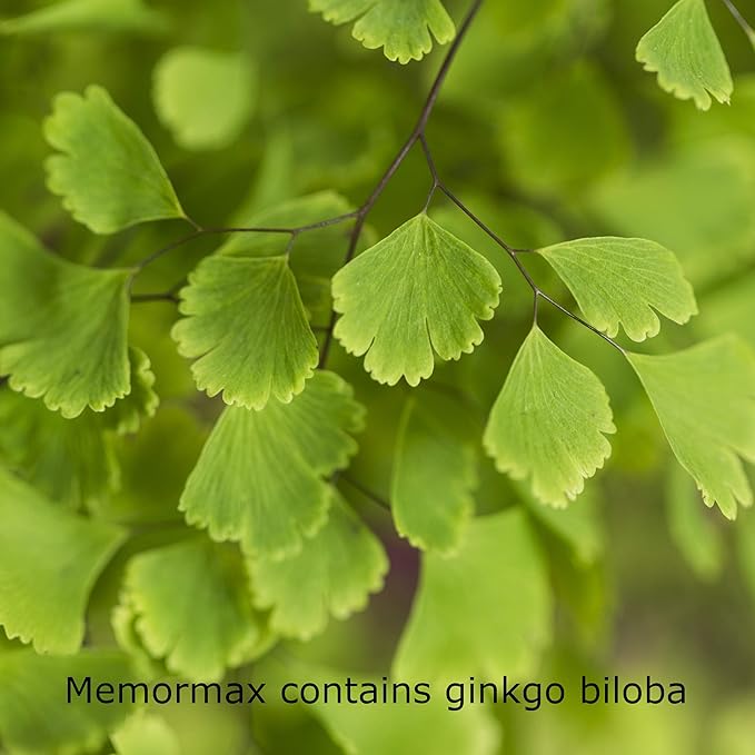 Memormax Brain Supplement for Memory, Focus & Mental Clarity with Ginkgo Biloba, Bacopa, Alpha GPC, DMAE, Phosphatidylserine, L Carnitine, Huperzine A; 60 Caps