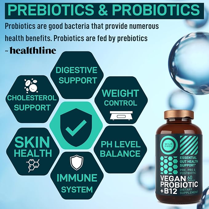 Vegan Probiotic Plus B12-22 Billion CFU Synbiotics Prebiotics and Probiotics for Digestive Health, IBS, Mood Support - B12 with FOS Pre Pro Post Biotics for Women & Men - 60 Gluten-Free Capsules