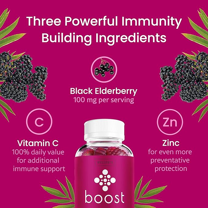 WellPath Boost Elderberry Gummies with Vitamin C (3-Pack) - Immune Support Gummy for Adults | Immunity Booster Vitamins | Zinc Supplement | Vegan, 180 Ct