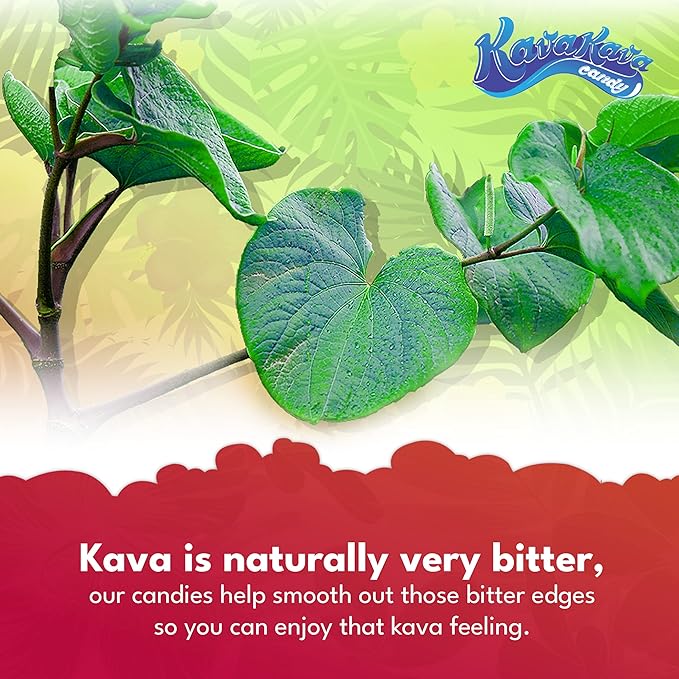 Ozia Originals Kava Kava Candy - 8 Kava Candies Per Pack, Kava Extract Stress Relief Supplement, Natural Kava Root Chill Happy Pill, Encourages Positive Mood - Ginger Mint Flavor, 1 Box (12 Packs)