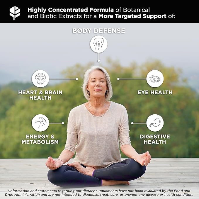 Whole Food Daily Essential Multivitamins for Adults and Seniors - 2X a Day - Vitamin A, C, D, E, B12 and Minerals - Natural and Holistic Support (60 Capsules)