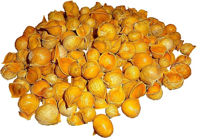 Japanese Garlic//AJO Japones (100% Natural!!) Choose Your Count per Bag: (30-60-130-150-250-400)