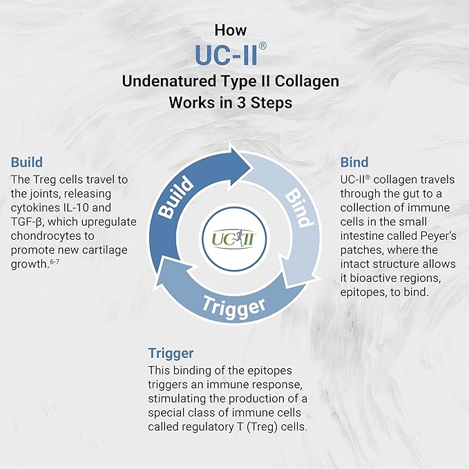 UC-II 40 mg with Hyaluronic Acid and Shea Nut Oil | Enhanced Undenatured Type II Collagen for Better Joint Health, Mobility & Flexibility | Gluten-Free & Non-GMO | 60 Softgels