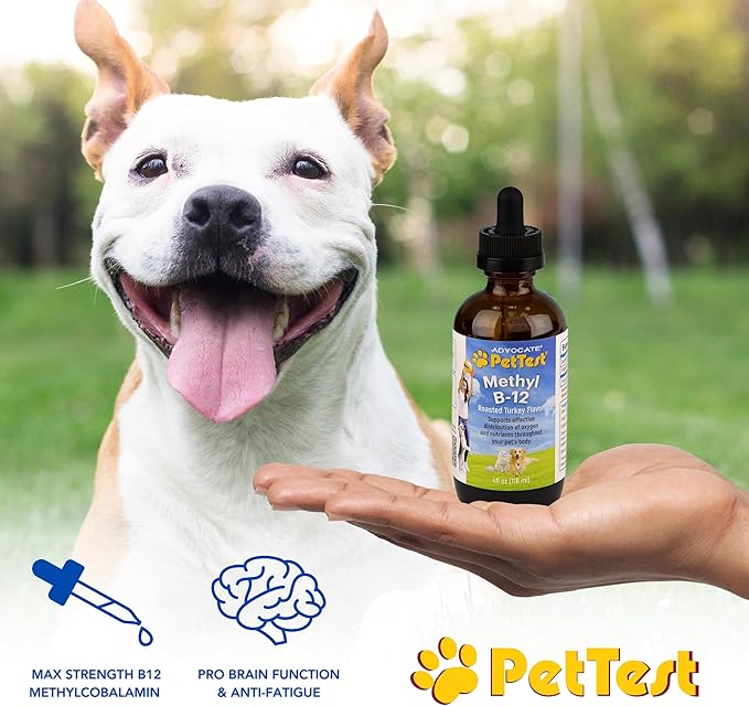 PetTest Methyl B12 Vitamin Liquid Drops 4fl oz (5000 MCG) Supplement with Methylcobalamin for Diabetic Pets, Maximum Absorption to Increase Energy for Dogs and Cats