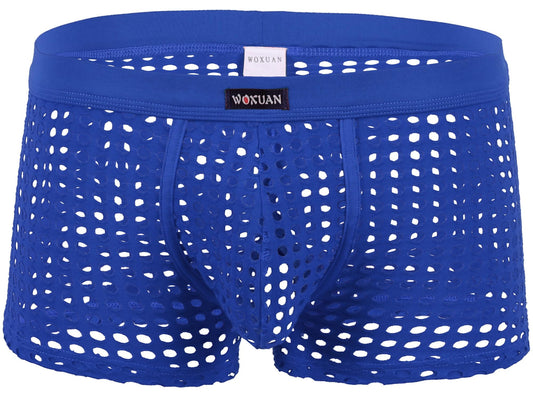Panegy Men's Fishnet Mesh Boxer Briefs Hollow Openwork Lounge Shorts Elastic Waist Loose Shorts Swim Trunk Board Shorts Bikini Bottoms