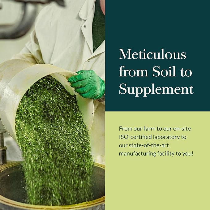 Gaia Herbs Everyday Adaptogen Powder - Helps Provide Energy Support & Maintain Healthy Stress Levels in Physically Active - with Maca Root, Cordyceps, Ashwagandha & More - 3.5 Oz (38-Day Supply)