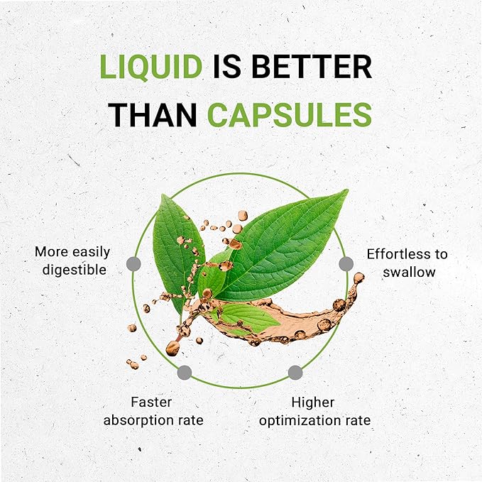 Respiratory Immune Boost Alcohol-Free Extract, Tincture, Glycerite Echinacea, Garlic, Umckaloabo, Cayenne, Astragalus, Eleuthero Siberian Ginseng. Lung Congestion Formula (4 FL OZ)