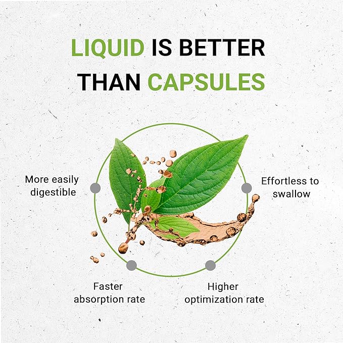 Secrets of the Tribe Ginger Tincture Alcohol-Free Extract, Ginger (Zingiber officinale) Dried Root 4 OZ