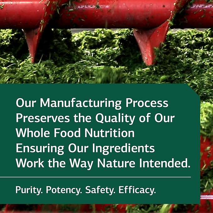 Standard Process Inc. C Synergy - Whole Food Immune Support and Antioxidant with Echinacea Purpurea, Rose HIPS, Shiitake, Reishi Mushroom Powder, Buckwheat, and Wheat Germ - 90 Tablets