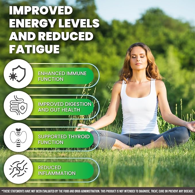 Sea Moss, Black Seed Oil, Ashwagandah & Burdock Root - Antioxidant Multivitamin Blend - 60 Capsules