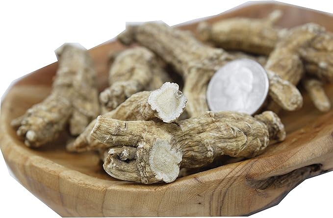 DOL Hand-Selected American Wisconsin Farmed Ginseng Root 美国威斯康辛州 长枝西洋参 花旗参 | Cultivated Wisconsin American Ginseng (Medium 4oz/Box)