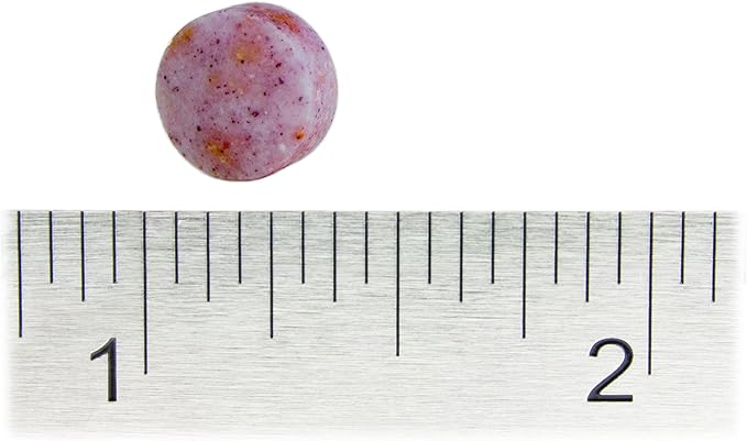 Stop Aging Now MAX-B12 Vitamin B12 1,000 mcg Lozenges, 6-Pack