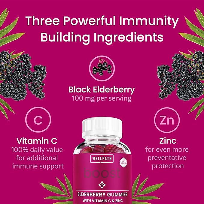 WellPath Boost Elderberry Gummies with Zinc & Vitamin C | Immune Support Supplement for Adults | Immunity Booster Vitamins | Sambucol Black Gummy | Non-GMO & Vegan, 60 Ct