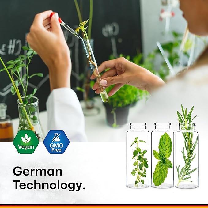 BIO KRAUTER Brain Support Gummies - 60 Vegan Chews - Natural Brain Supplement - Ashwagandha, Ginkgo Biloba, Bacopa, DMAE, and Vitamins for Cognitive Support