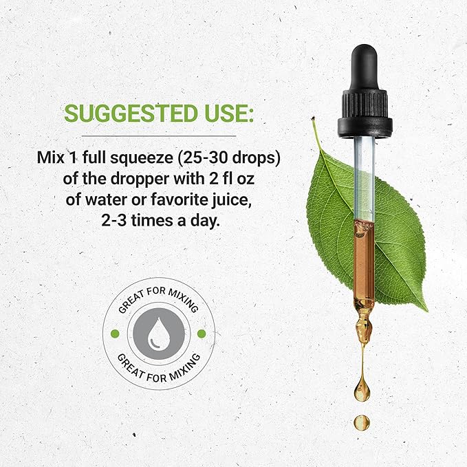 Secrets of the Tribe Ashwagandha Tincture Alcohol-Free Extract, USDA Organic Ashwagandha Withania Somnifera Anti-Stress and Relaxation 2x4 OZ