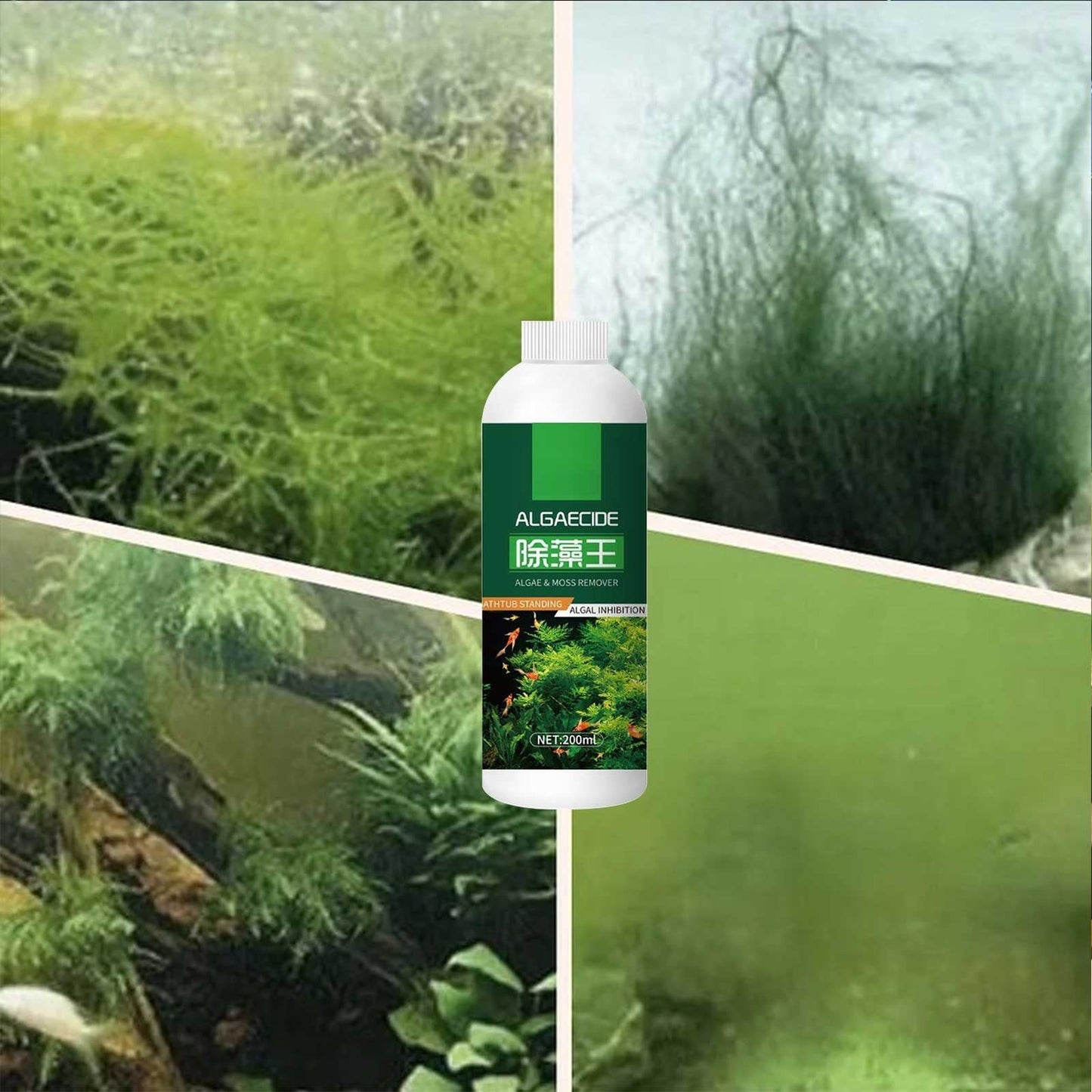 Aquarium Algae Moss Remover, Fast-Acting Safe for Fish Plants Tank Cleaner, 200ml Liquid Formula Prevents Future Growth, All Tank Sizes Water Treatment Solution, Fish Tank Cleaner