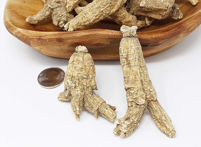 DOL Hand-Selected American Wisconsin Farmed Ginseng Root 美国威斯康辛州 长枝西洋参 花旗参 | Cultivated Wisconsin American Ginseng (Large 4oz/Box)