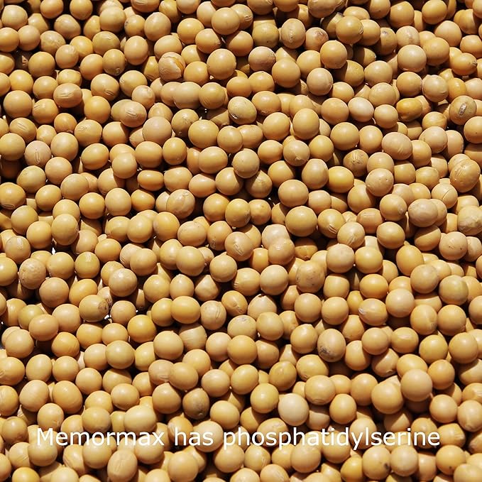 Memormax Brain Supplement for Memory, Focus & Mental Clarity with Ginkgo Biloba, Bacopa, Alpha GPC, DMAE, Phosphatidylserine, L Carnitine, Huperzine A; 60 Caps