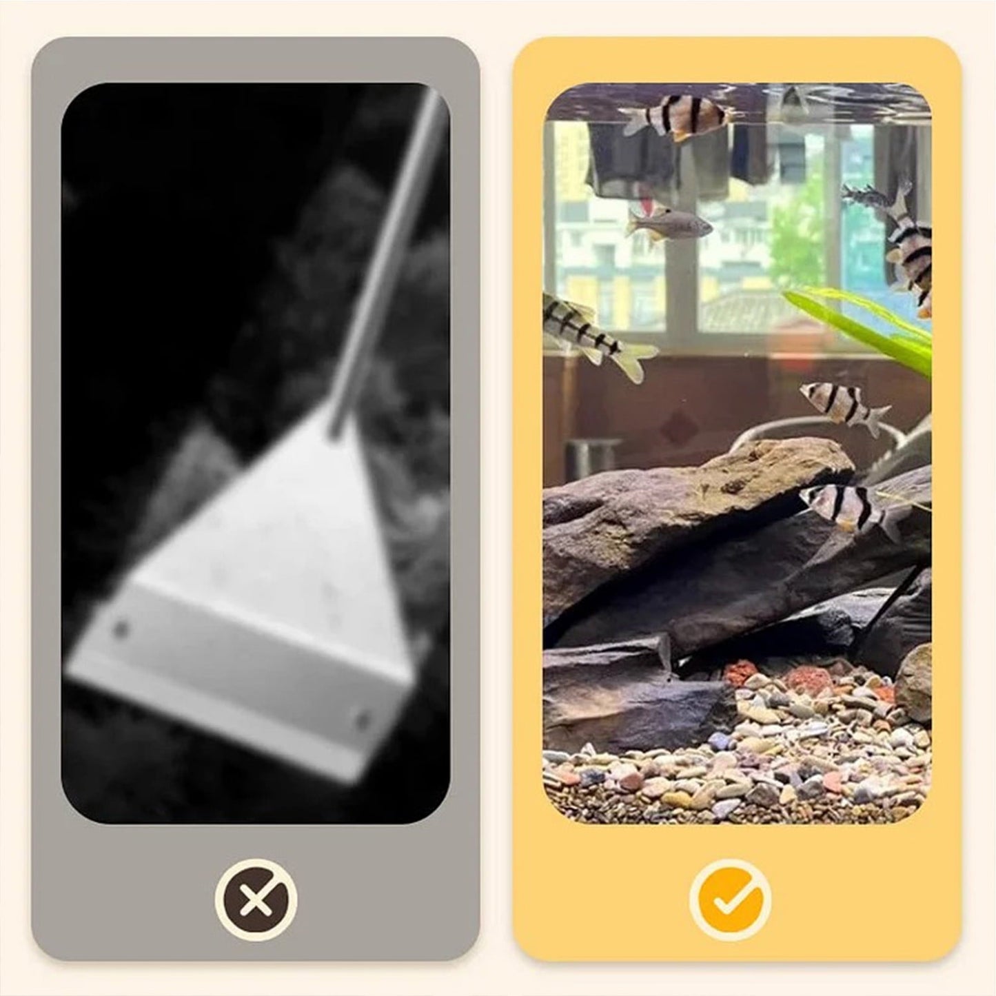 Aquarium Algae Moss Remover, Fast-Acting Safe for Fish Plants Tank Cleaner, 200ml Liquid Formula Prevents Future Growth, All Tank Sizes Water Treatment Solution, Fish Tank Cleaner