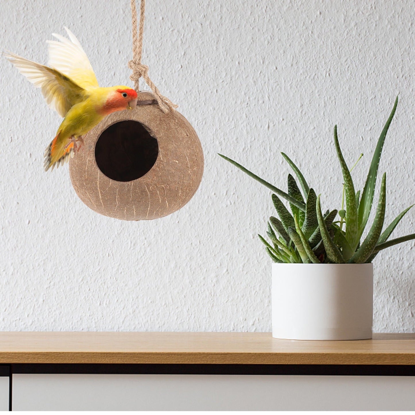 UNOMOR hanging nest for small bird Parrot Swing Bed Coconut Shell Exercise Tool Outdoor Use 1Pcs