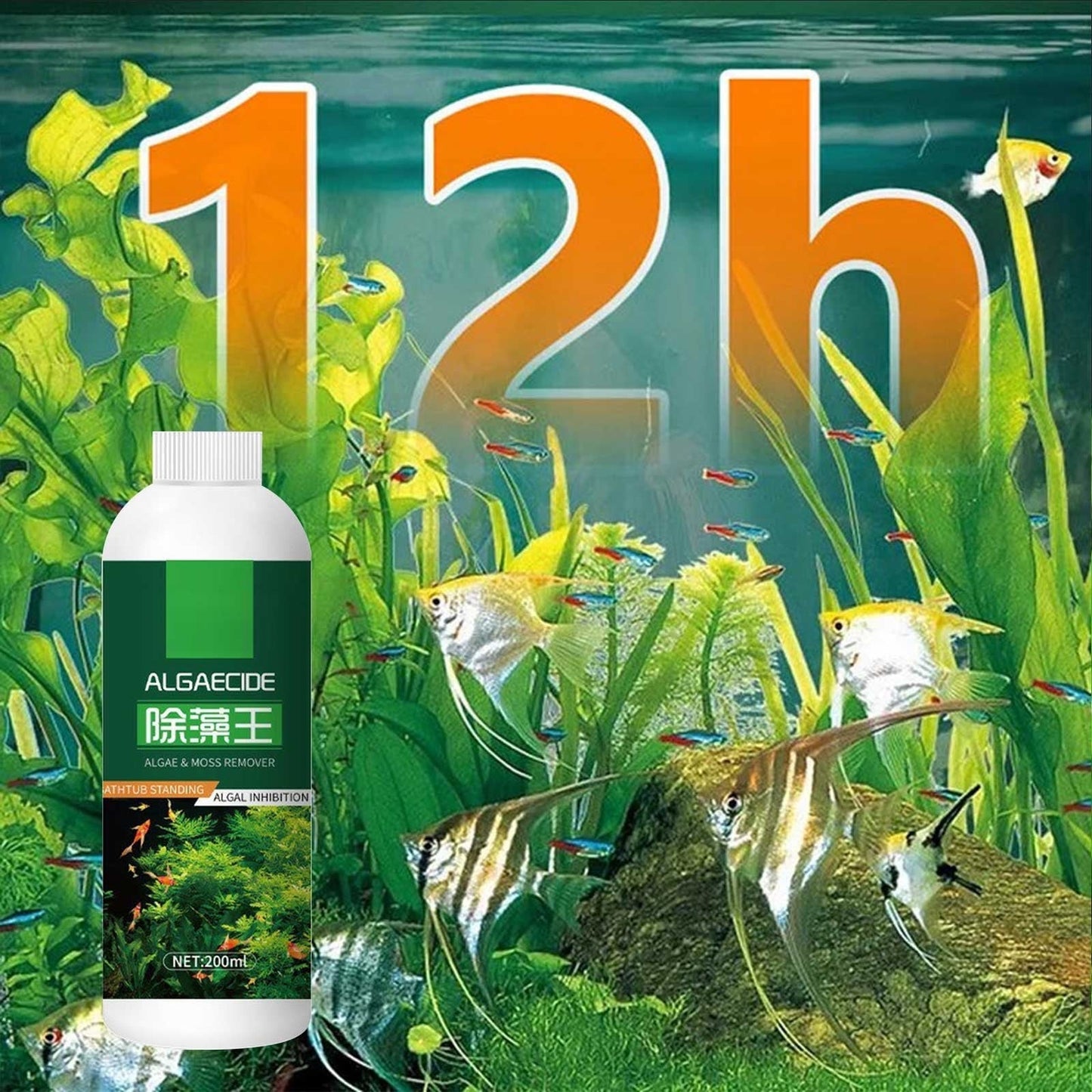 Aquarium Algae Moss Remover, Fast-Acting Safe for Fish Plants Tank Cleaner, 200ml Liquid Formula Prevents Future Growth, All Tank Sizes Water Treatment Solution, Fish Tank Cleaner